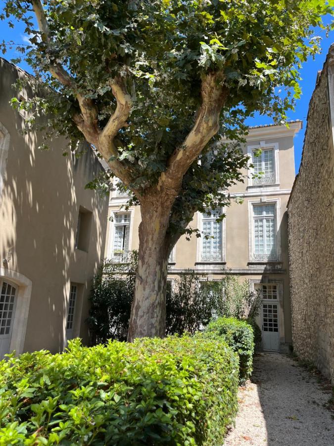 Superbe Appartement De Charme A 10Mn De Saint-Remy Noves Luaran gambar