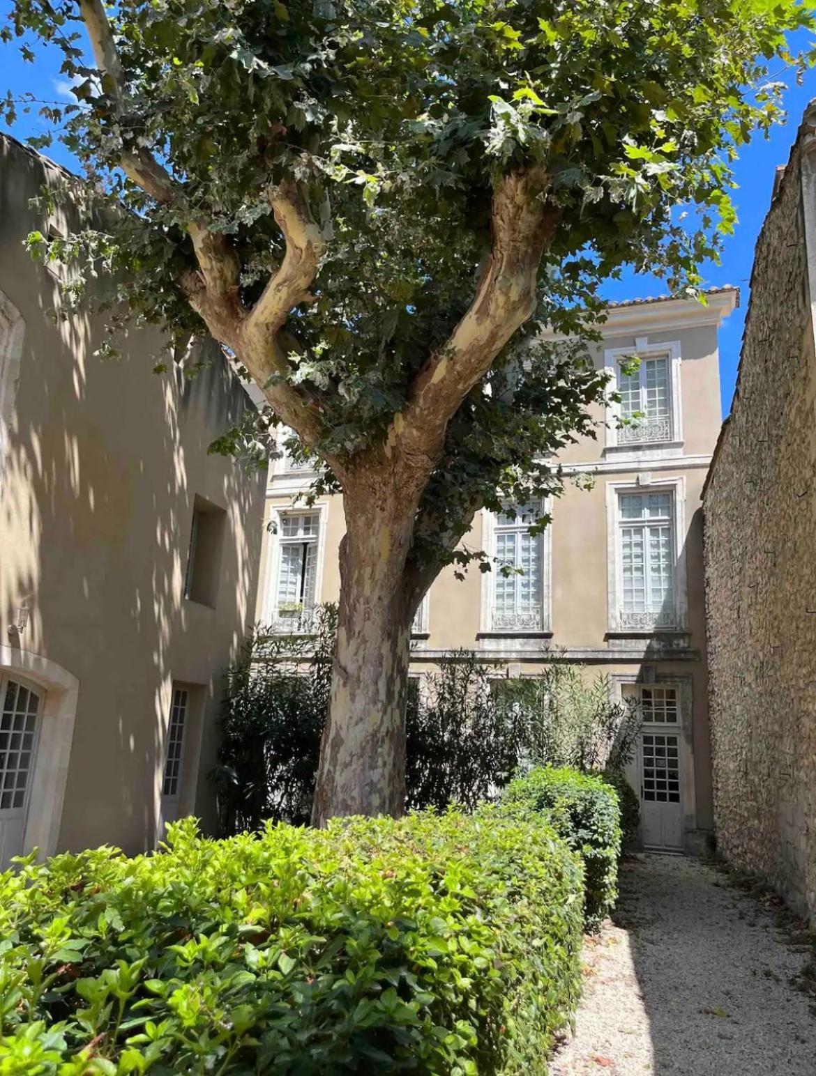 Superbe Appartement De Charme A 10Mn De Saint-Remy Noves Luaran gambar